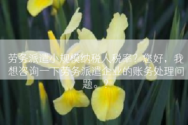 劳务派遣小规模纳税人税率？您好，我想咨询一下劳务派遣企业的账务处理问题。？