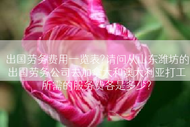 出国劳务费用一览表?请问从山东潍坊的出国劳务公司去加拿大和澳大利亚打工所需的服务费各是多少?