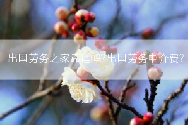 出国劳务之家靠谱吗?出国劳务中介费?