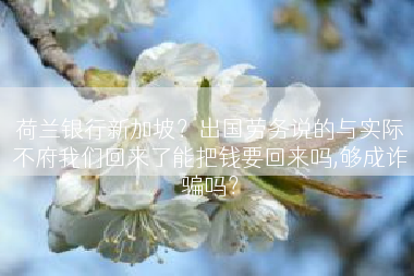 荷兰银行新加坡？出国劳务说的与实际不府我们回来了能把钱要回来吗,够成诈骗吗？