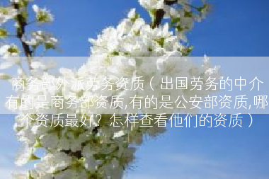 商务部外派劳务资质（出国劳务的中介有的是商务部资质,有的是公安部资质,哪个资质最好？怎样查看他们的资质）