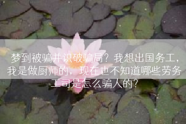 梦到被骗并识破骗局？我想出国务工，我是做厨师的，现在也不知道哪些劳务工司是怎么骗人的？