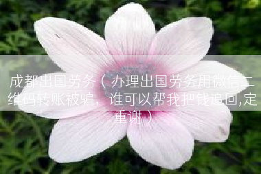 成都出国劳务（办理出国劳务用微信二维码转账被骗，谁可以帮我把钱追回,定重谢）
