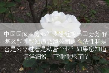中国国家商务部？我想近期出国劳务 我怎么能才能知道派遣公司的合法性和是否是公立过着是私营企业？如果您知道请详细说一下谢谢您了!？