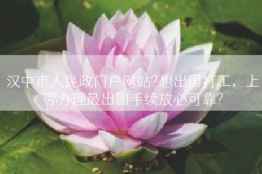 汉中市人民政门户网站?想出国打工，上哪办理最出国手续放心可靠?