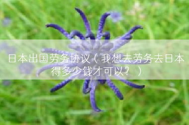 日本出国劳务协议（我想去劳务去日本 得多少钱才可以？）