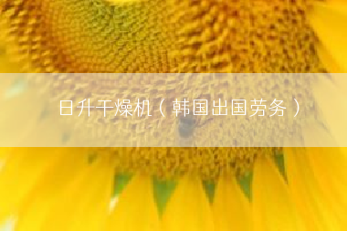 日升干燥机（韩国出国劳务）