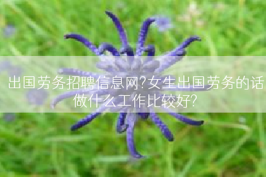 出国劳务招聘信息网?女生出国劳务的话做什么工作比较好?