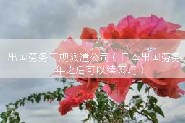 出国劳务正规派遣公司（日本出国劳务三年之后可以续签吗）