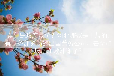 秦皇岛政府限价？河北哪家是正规的，有商务部资质的出国劳务公司，去新加坡，和欧洲谢了？