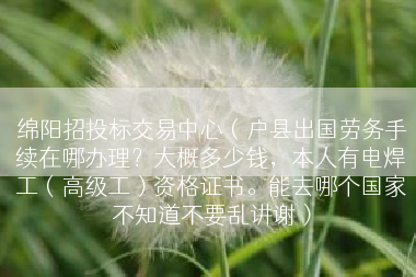 绵阳招投标交易中心（户县出国劳务手续在哪办理？大概多少钱，本人有电焊工（高级工）资格证书。能去哪个国家不知道不要乱讲谢）
