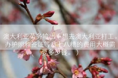 澳大利亚劳务输出（想去澳大利亚打工。办护照和签证等乱七八糟的费用大概需要多少钱。）