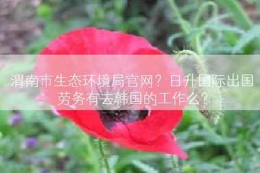 渭南市生态环境局官网？日升国际出国劳务有去韩国的工作么？