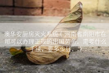 澳华安厨房灭火系统（河南省南阳市在那可以办理正规的出国劳务，需要什么手续，要多少钱，）
