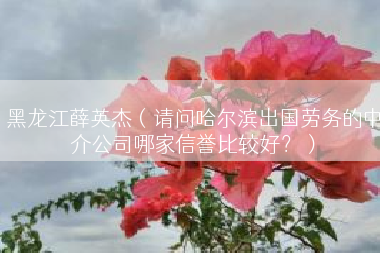 黑龙江薛英杰（请问哈尔滨出国劳务的中介公司哪家信誉比较好？）