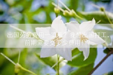 出国劳务费用一览表？我想出国打工，前期需要交多少费用！？