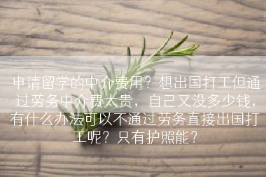 申请留学的中介费用？想出国打工但通过劳务中介费太贵，自己又没多少钱，有什么办法可以不通过劳务直接出国打工呢？只有护照能？