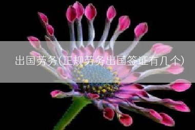 出国劳务(正规劳务出国签证有几个)