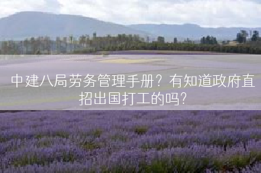 中建八局劳务管理手册？有知道政府直招出国打工的吗？