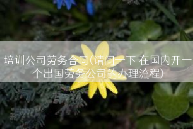 培训公司劳务合同(请问一下 在国内开一个出国劳务公司的办理流程)