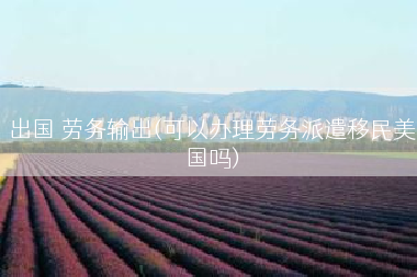 出国 劳务输出(可以办理劳务派遣移民美国吗)
