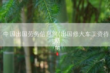 中国出国劳务信息网(出国修大车工资待遇)