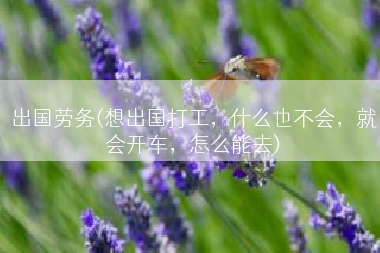 出国劳务(想出国打工，什么也不会，就会开车，怎么能去)