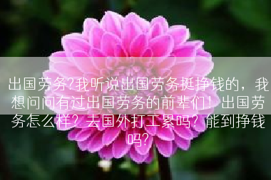 出国劳务?我听说出国劳务挺挣钱的，我想问问有过出国劳务的前辈们！出国劳务怎么样？去国外打工累吗？能到挣钱吗?