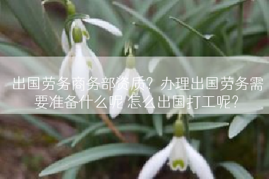 出国劳务商务部资质？办理出国劳务需要准备什么呢 怎么出国打工呢？