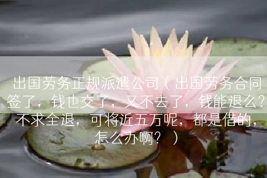 出国劳务正规派遣公司（出国劳务合同签了，钱也交了，又不去了，钱能退么？不求全退，可将近五万呢，都是借的，怎么办啊？）