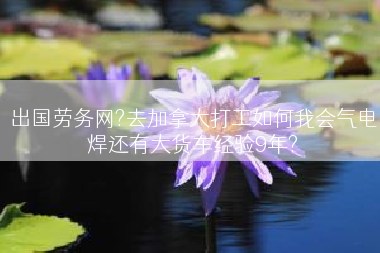 出国劳务网?去加拿大打工如何我会气电焊还有大货车经验9年?