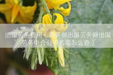 出国劳务费用（商务部出国劳务网出国劳务中介公司名单怎么查）