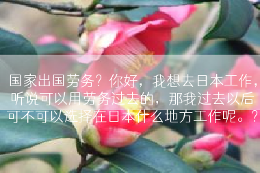 国家出国劳务？你好，我想去日本工作，听说可以用劳务过去的，那我过去以后可不可以选择在日本什么地方工作呢。？