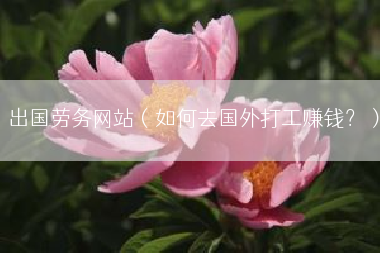 出国劳务网站（如何去国外打工赚钱？）