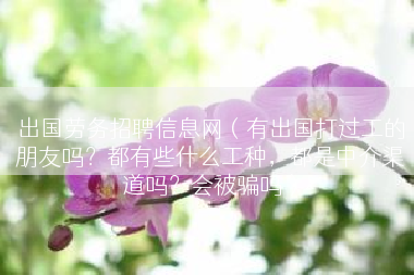 出国劳务招聘信息网（有出国打过工的朋友吗？都有些什么工种，都是中介渠道吗？会被骗吗）