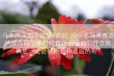 马来西亚留学政策?您好.问一下马来西亚的境内留学体检检查什么项目？什么疾病是一定会被拒签和遣返的呢?