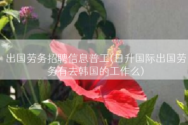 出国劳务招聘信息普工(日升国际出国劳务有去韩国的工作么)