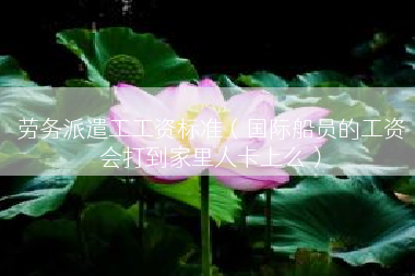 劳务派遣工工资标准（国际船员的工资会打到家里人卡上么）