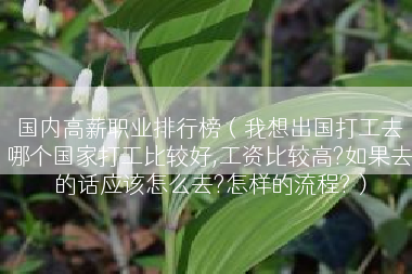 国内高薪职业排行榜（我想出国打工去哪个国家打工比较好,工资比较高?如果去的话应该怎么去?怎样的流程?）