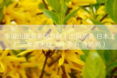 中国出国劳务信息网（出国劳务 日本工厂三年流水线 三十多万 合适吗）