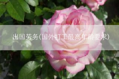出国劳务(国外打工最高年龄要求)