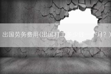 出国劳务费用(出国打工多少钱一个月？)