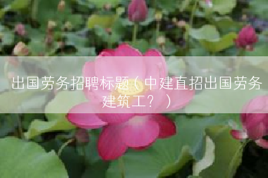 出国劳务招聘标题（中建直招出国劳务建筑工？）