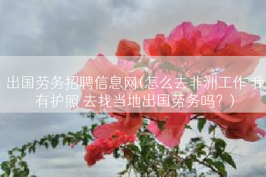 出国劳务招聘信息网(怎么去非洲工作 我有护照 去找当地出国劳务吗？)