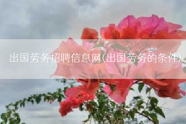 出国劳务招聘信息网(出国劳务的条件)