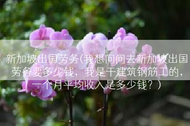 新加坡出国劳务(我想问问去新加坡出国劳务要多少钱，我是干建筑钢筋工的，一个月平均收入是多少钱？)