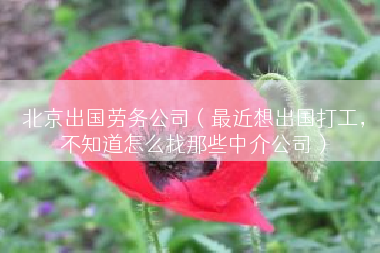 北京出国劳务公司（最近想出国打工，不知道怎么找那些中介公司）