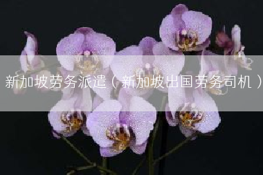 新加坡劳务派遣（新加坡出国劳务司机）