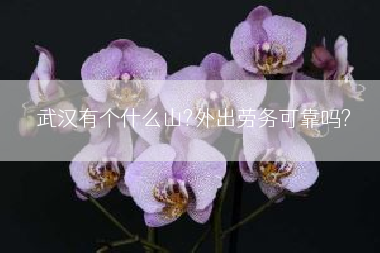 武汉有个什么山?外出劳务可靠吗?