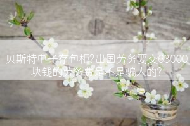 贝斯特电子存包柜?出国劳务要交63000块钱的劳务费是不是骗人的?